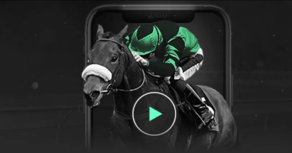 英格兰队公,布阵容,凯恩与贝林,米兰体育官网,米兰体育登录,米兰体育App,米兰体育入口,米兰体育平台